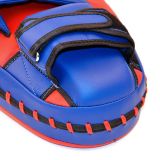 Боксерские лапы Fairtex FMV13