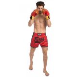 Шорты для тайского бокса Fairtex BS1703