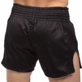 Шорты для тайского бокса Fairtex BS1708