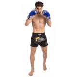 Шорты для тайского бокса Fairtex BS1708