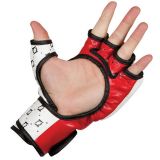 Fairtex ÐÐÐ FGV17