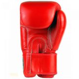 Fairtex BGV1