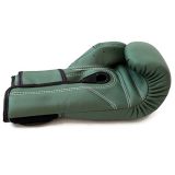 ÐÐµÑÑÐ°ÑÐºÐ¸ Fairtex BGV11 f-day