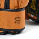 Боксерские перчатки Fairtex Legacy BGV21