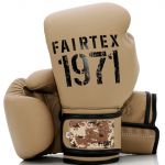 Боксерские перчатки Fairtex F-Day2 BGV25